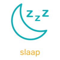 Icoon slaap